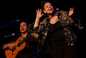 vignette Claire Luzi - (...)